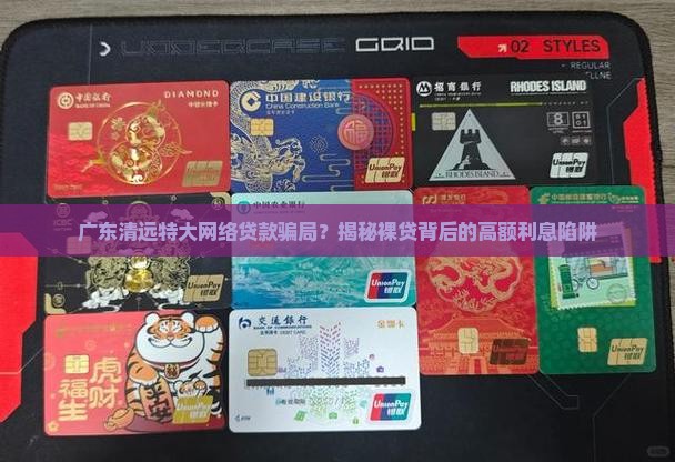 广东清远特大网络贷款