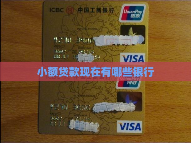 小额贷款现在有哪些银行 小额贷款现在有哪些银行