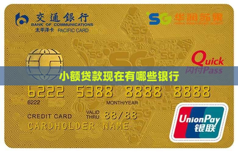 小额贷款现在有哪些银行 小额贷款现在有哪些银行