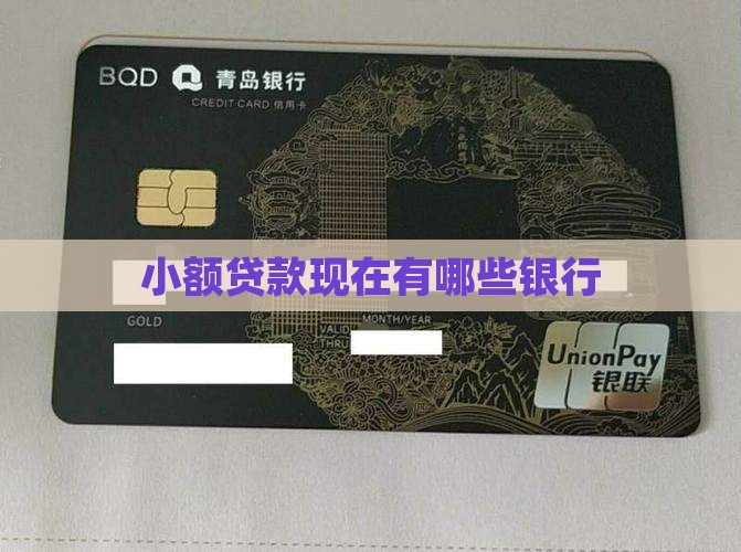 小额贷款现在有哪些银行 小额贷款现在有哪些银行