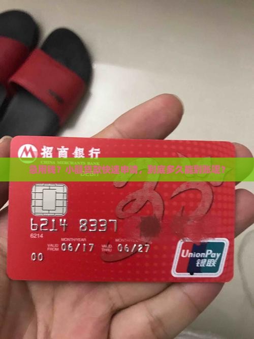 小额贷款极速申请多久到账