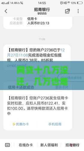 平台贷款十几万没还