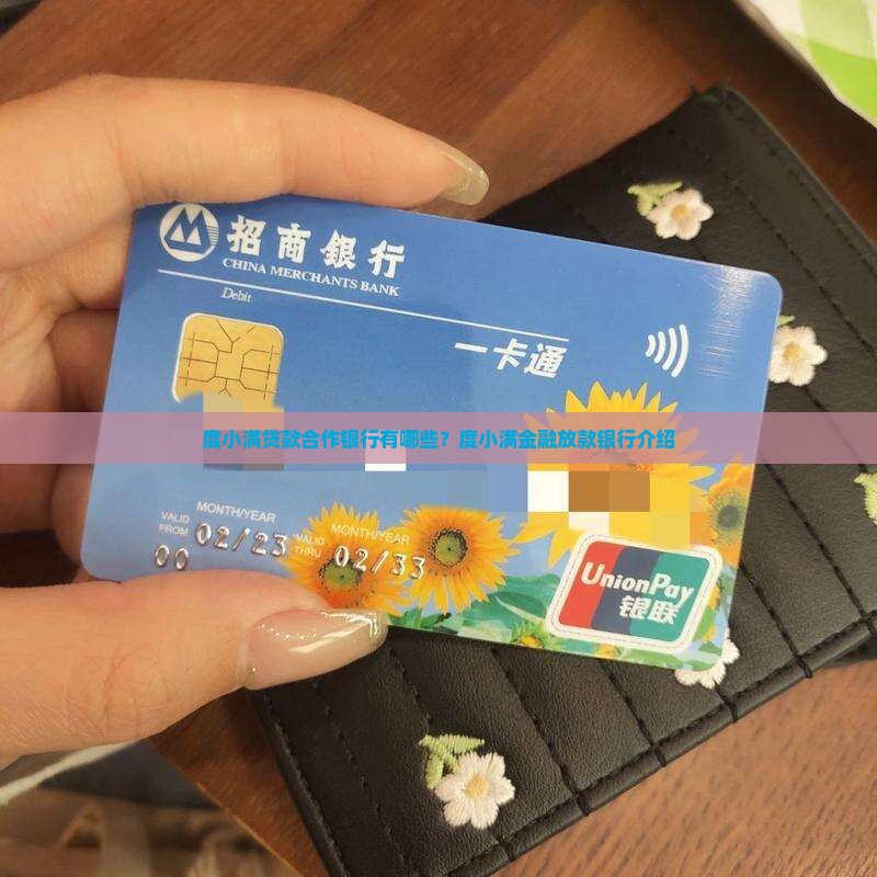 度小满贷款合作银行