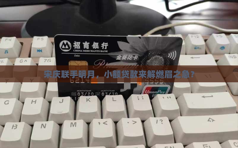 宋庆联明月小额贷款