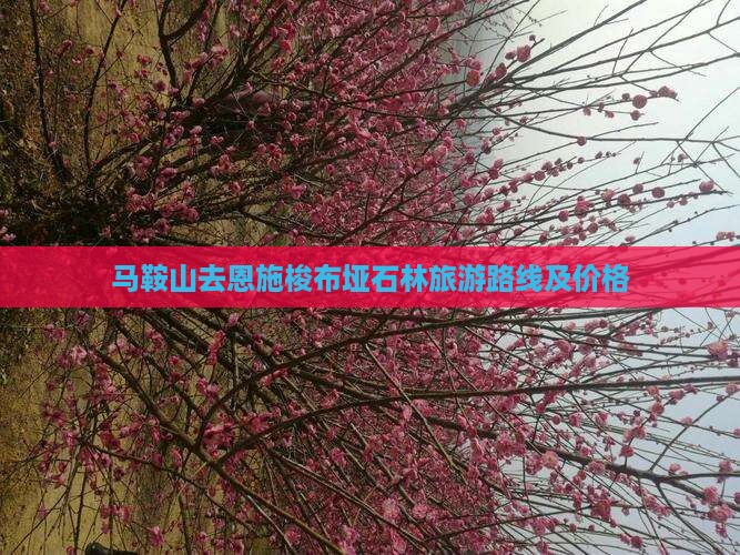 马鞍山去恩施梭布垭石林旅游路线及价格