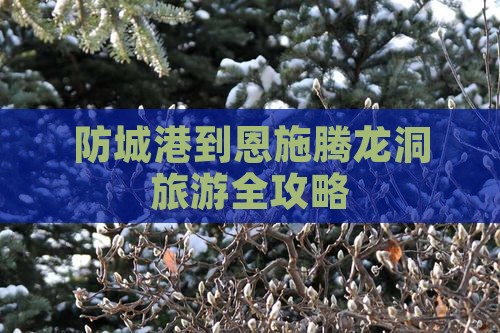 防城港到恩施腾龙洞旅游全攻略