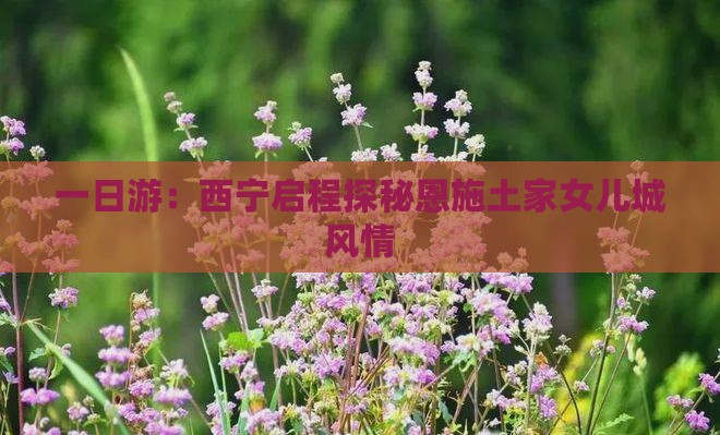 一日游：西宁启程探秘恩施土家女儿城风情