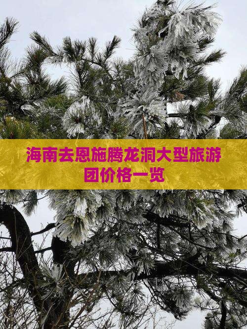 海南去恩施腾龙洞大型旅游团价格一览