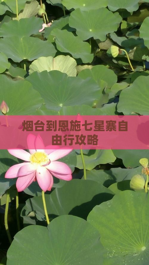 烟台到恩施七星寨自由行攻略
