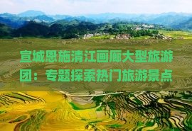 宣城恩施清江画廊大型旅游团：专题探索热门旅游景点深度游