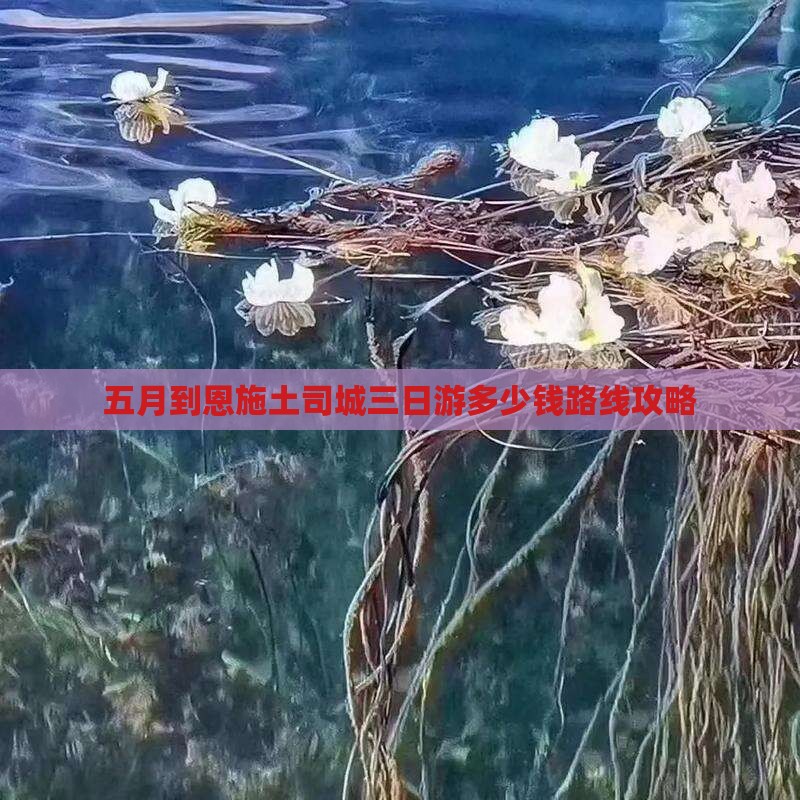五月到恩施土司城三日游多少钱路线攻略