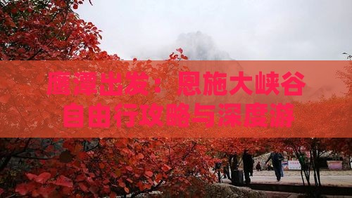 鹰潭出发：恩施大峡谷自由行攻略与深度游