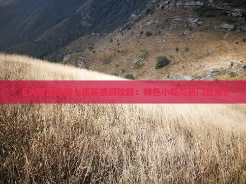 《大理至恩施七星寨旅游攻略：特色小吃与热门景点》
