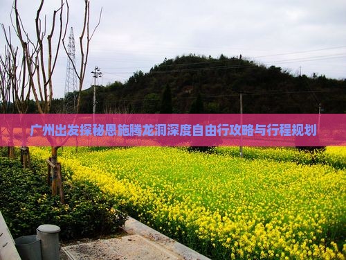 广州出发探秘恩施腾龙洞深度自由行攻略与行程规划