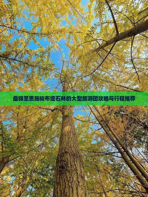 盘锦至恩施梭布垭石林的大型旅游团攻略与行程推荐