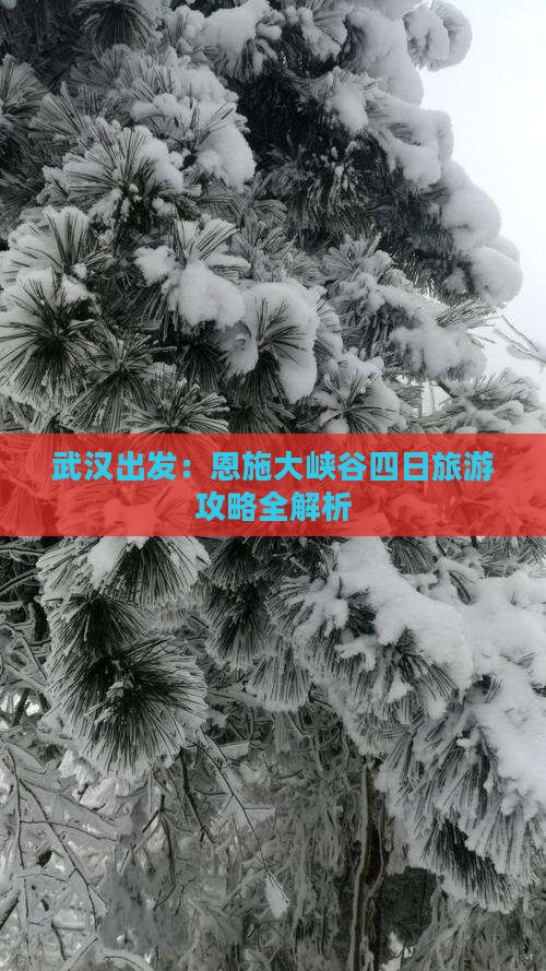 武汉出发：恩施大峡谷四日旅游攻略全解析