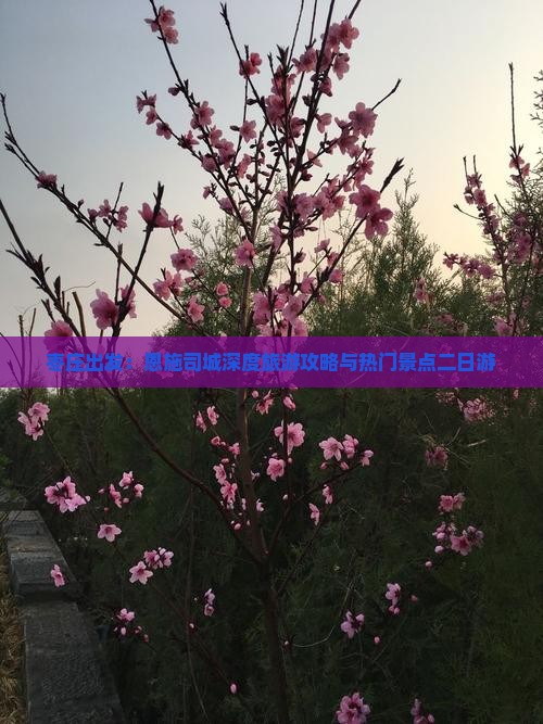 枣庄出发：恩施司城深度旅游攻略与热门景点二日游
