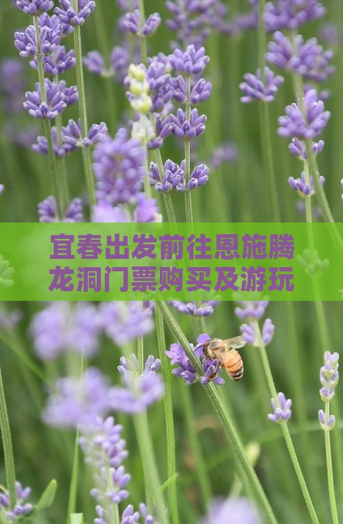 宜春出发前往恩施腾龙洞门票购买及游玩攻略