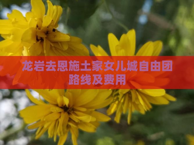 龙岩去恩施土家女儿城自由团路线及费用