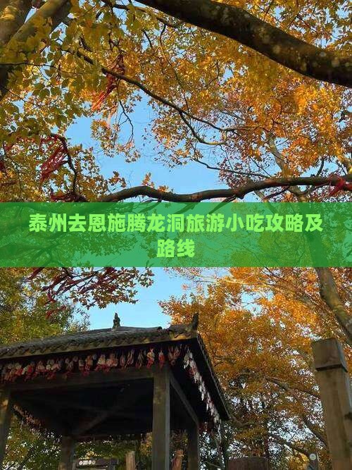 泰州去恩施腾龙洞旅游小吃攻略及路线