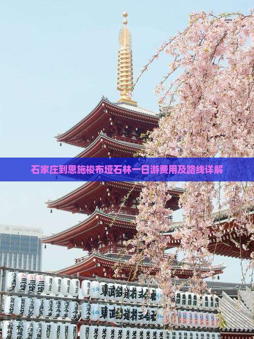 石家庄到恩施梭布垭石林一日游费用及路线详解