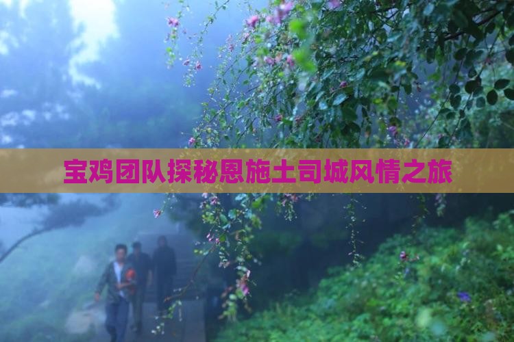 宝鸡团队探秘恩施土司城风情之旅