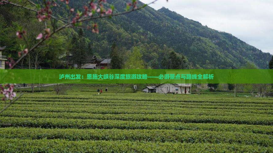 泸州出发：恩施大峡谷深度旅游攻略——必游景点与路线全解析