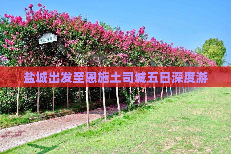 盐城出发至恩施土司城五日深度游