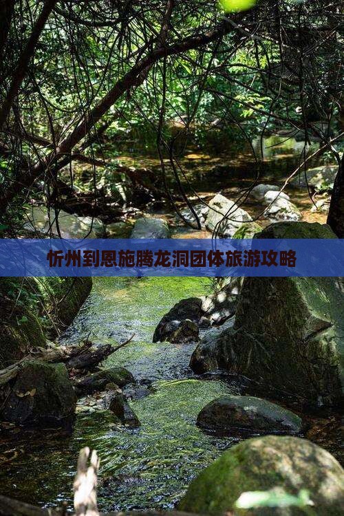 忻州到恩施腾龙洞团体旅游攻略