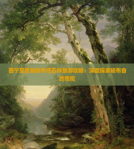西宁至恩施梭布垭石林旅游攻略：深度探索梭布自然奇观
