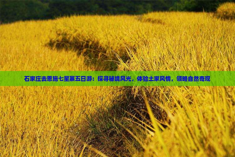 石家庄去恩施七星寨五日游：探寻秘境风光，体验土家风情，领略自然奇观