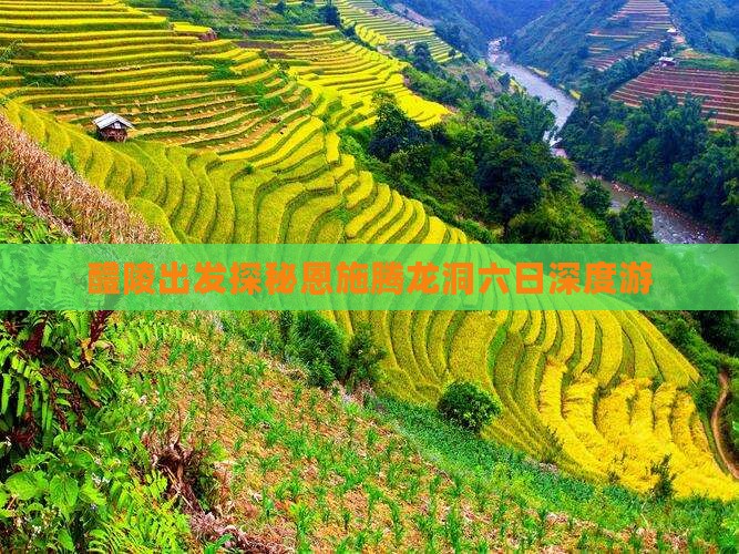醴陵出发探秘恩施腾龙洞六日深度游