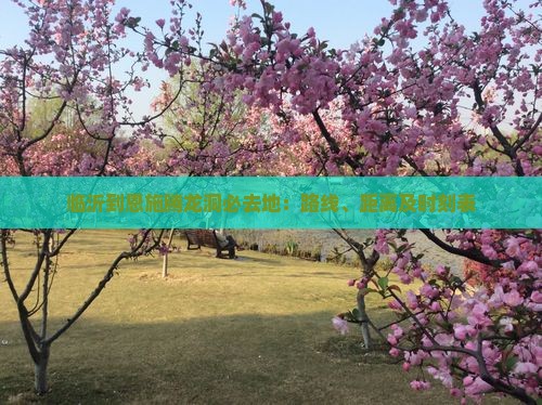 临沂到恩施腾龙洞必去地：路线、距离及时刻表