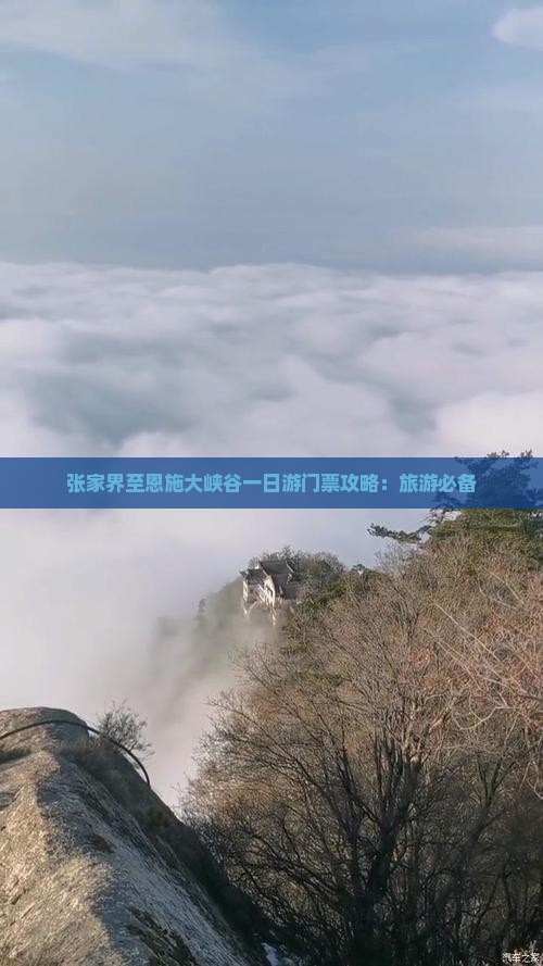 张家界至恩施大峡谷一日游门票攻略：旅游必备