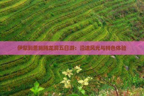 伊犁到恩施腾龙洞五日游：沿途风光与特色体验