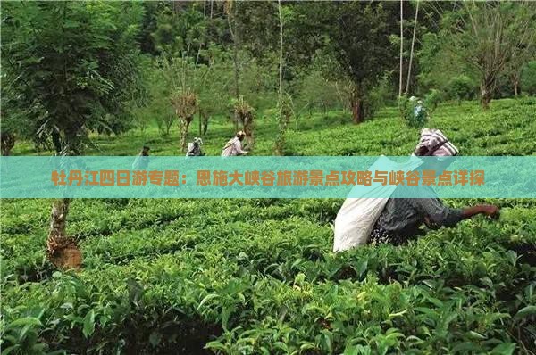 牡丹江四日游专题：恩施大峡谷旅游景点攻略与峡谷景点详探