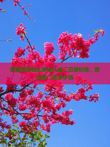 阿里到恩施土家女儿城二日游价格、路线及门票多少钱