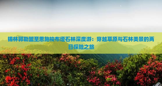 锡林郭勒盟至恩施梭布垭石林深度游：穿越草原与石林美景的两日探险之旅