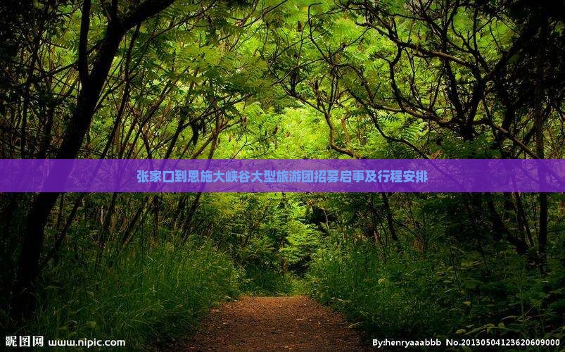 张家口到恩施大峡谷大型旅游团招募启事及行程安排