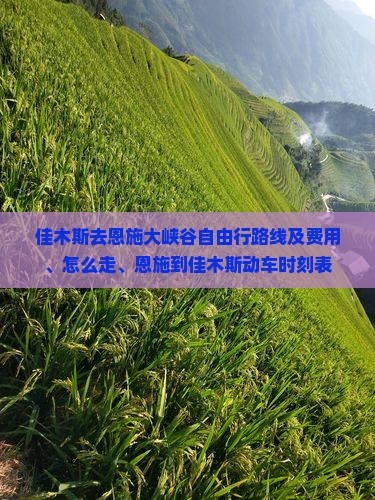 佳木斯去恩施大峡谷自由行路线及费用、怎么走、恩施到佳木斯动车时刻表