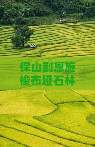 保山到恩施梭布垭石林旅行社距离及具体路线