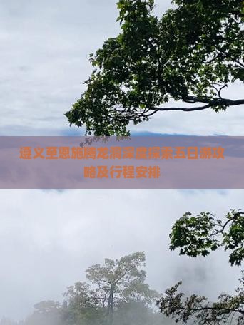 遵义至恩施腾龙洞深度探索五日游攻略及行程安排