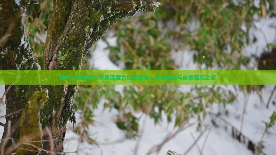 锦州出发恩施七星寨深度六日探索游：风情体验与自然奇观之旅