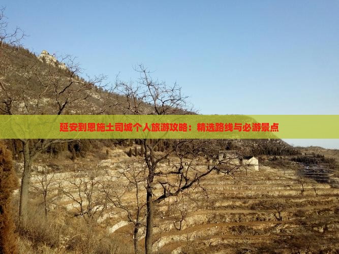 延安到恩施土司城个人旅游攻略：精选路线与必游景点