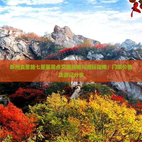 泰州去恩施七星寨景点交通攻略与游玩指南：门票价格及游记分享