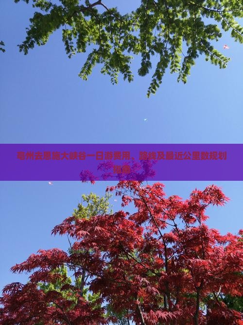亳州去恩施大峡谷一日游费用、路线及最近公里数规划指南