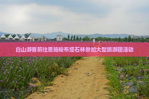 白山游客前往恩施梭布垭石林参加大型旅游团活动