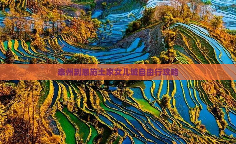 泰州到恩施土家女儿城自由行攻略