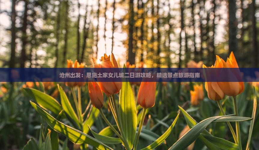 沧州出发：恩施土家女儿城二日游攻略，精选景点旅游指南