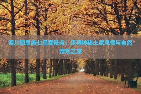 铜川到恩施七星寨景点：探寻神秘土家风情与自然奇观之旅